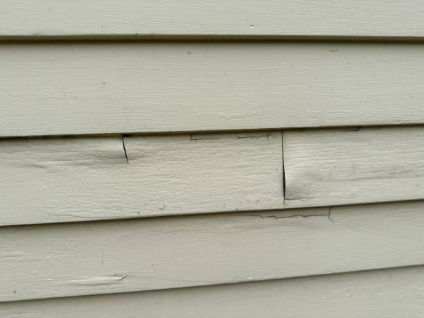 Best Construction Debris Removal  in Boron, CA